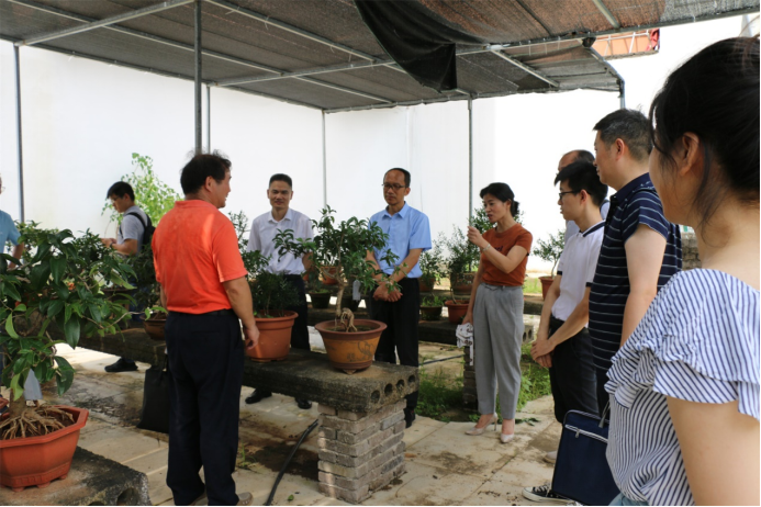Forestry and Grass Science and Technology Service Group of Chinese Society of Forestry Went to Xianning City, Hubei Province to Investigate the Development of Osmanthus Industry Promote the Construction of Xianning "Kechuang China" Pilot City.(图4)