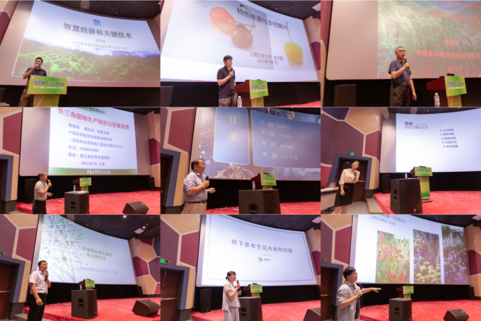 The 18th Yangtze River Delta Science and Technology Forum · Economic Forest Industry Development Sub-forum was held in Shanghai(图7)