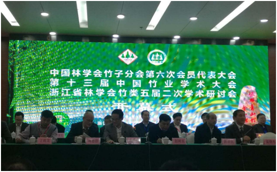 China Bamboo Industry Academic Conference(图4)