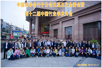 China Bamboo Industry Academic Conference(图5)