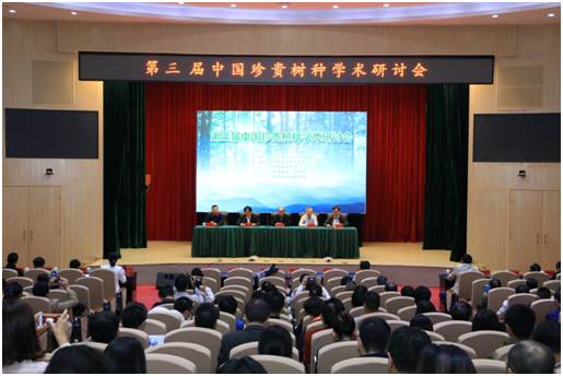 Symposium on Chinese Precious Trees(图3)